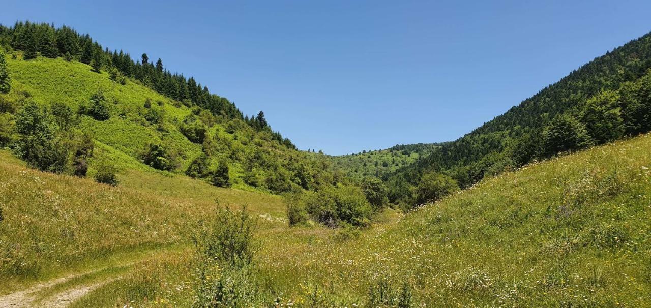 Villa Vrbena Exteriér fotografie